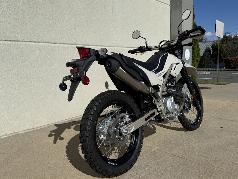 2026 Kawasaki KLX 230 Sherpa S ABSImage 3