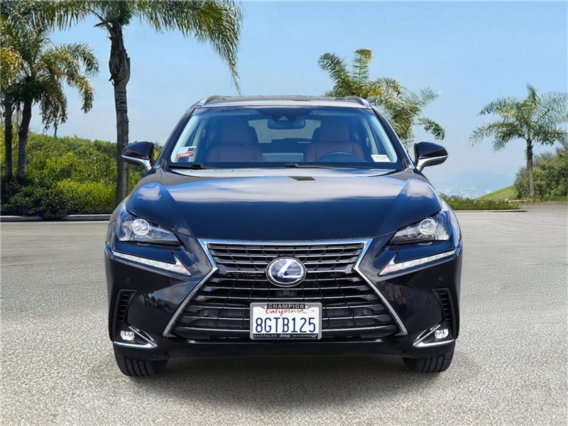 2019 Lexus NX 300h Luxury photo 2