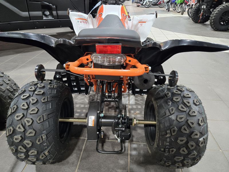 NEW 2026 KAYO STORM 150 EFI Image 6