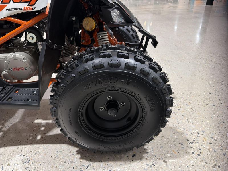 New 2026 Kayo PREDATOR 125 EFI Image 19