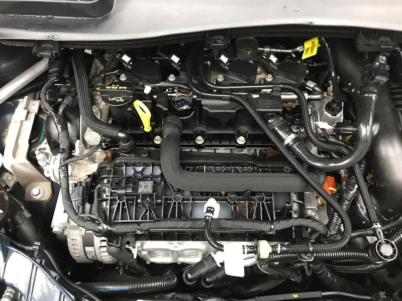 Used 2019 Ford Escape SELImage 18