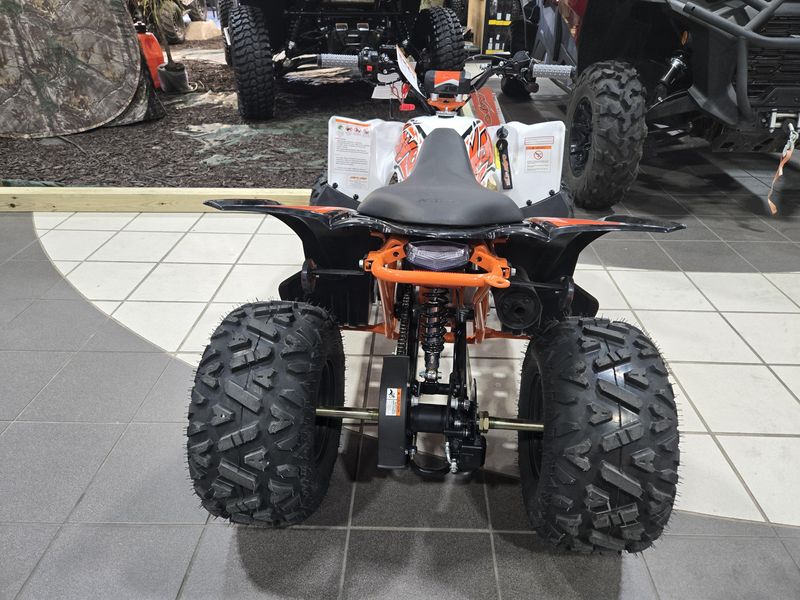 NEW 2025 KAYO PREDATOR 110 Image 8