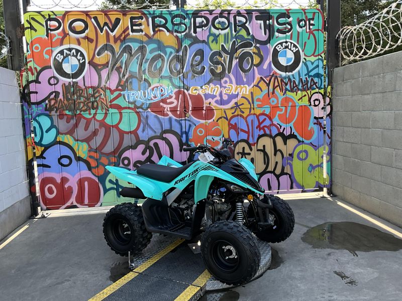 New 2025 Yamaha Raptor 110 Image 7