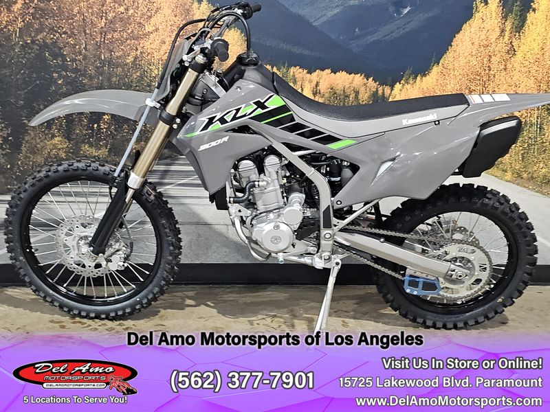 2025 Kawasaki KLX 300Image 1