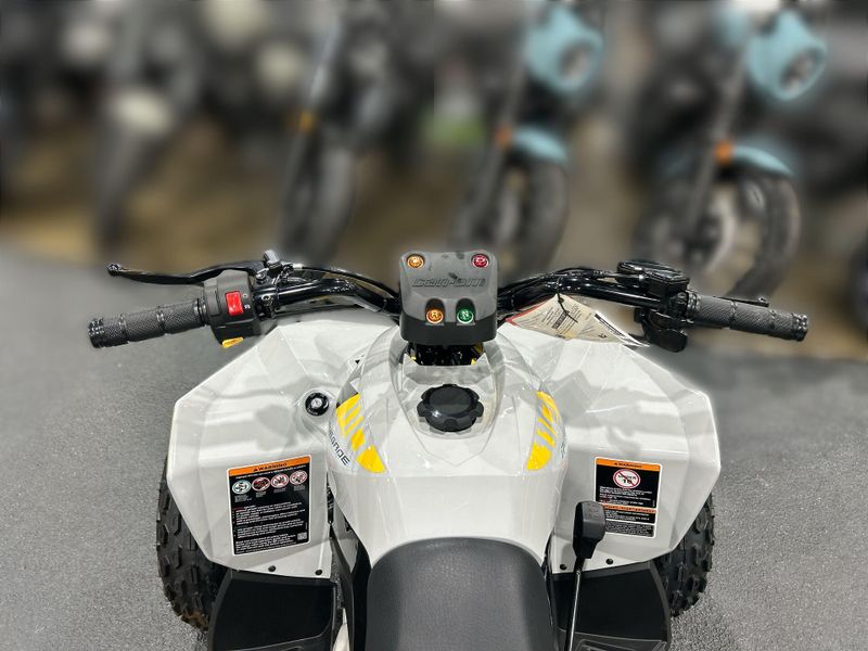 New 2026 Can-Am RENEGADE 110 EFI Image 20