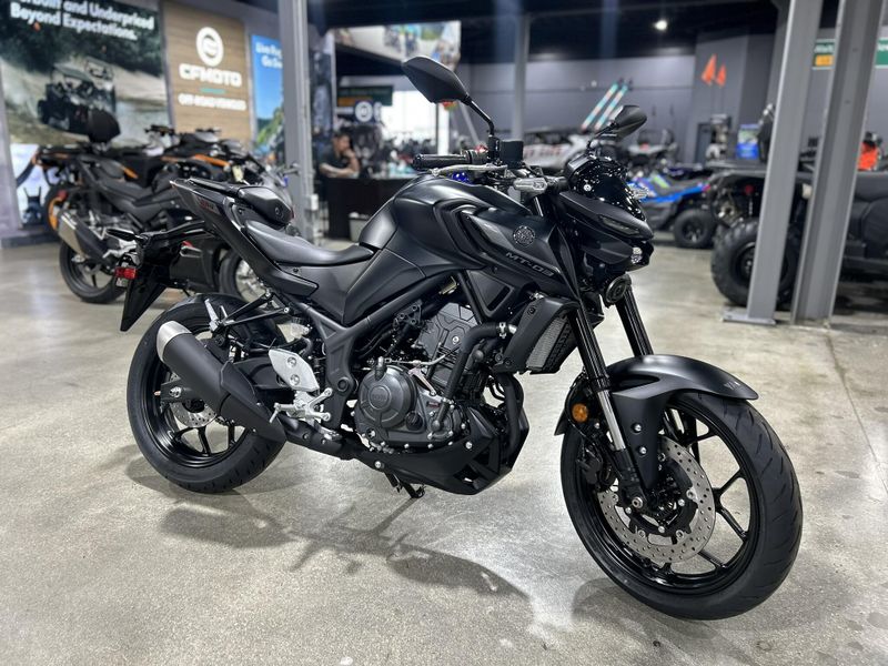 2025 Yamaha MT-03 Image 19