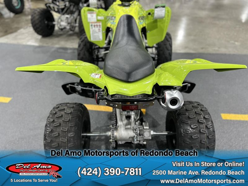 2025 Yamaha RAPTOR 700R SEImage 9