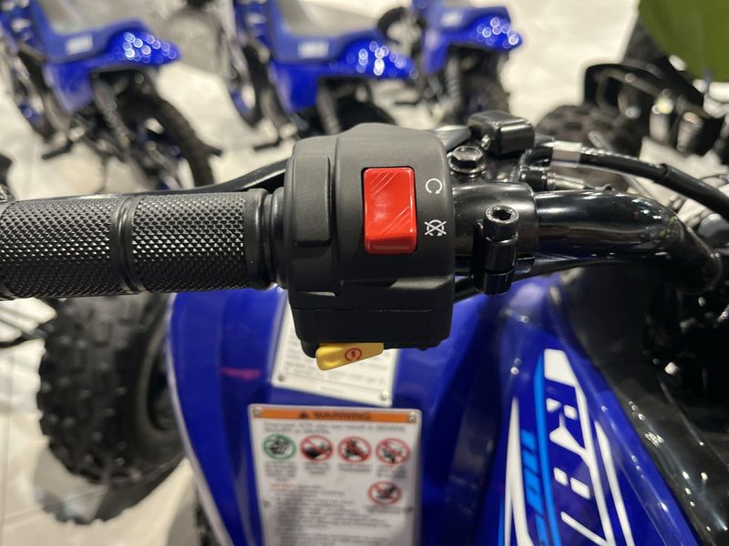 New 2026 Yamaha RAPTOR 110 Image 15