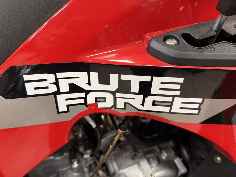 New 2026 Kawasaki BRUTE FORCE 300 Image 27