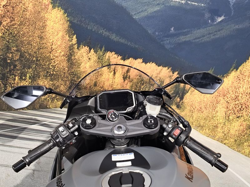 2025 Kawasaki NINJA ZX-6R Image 19