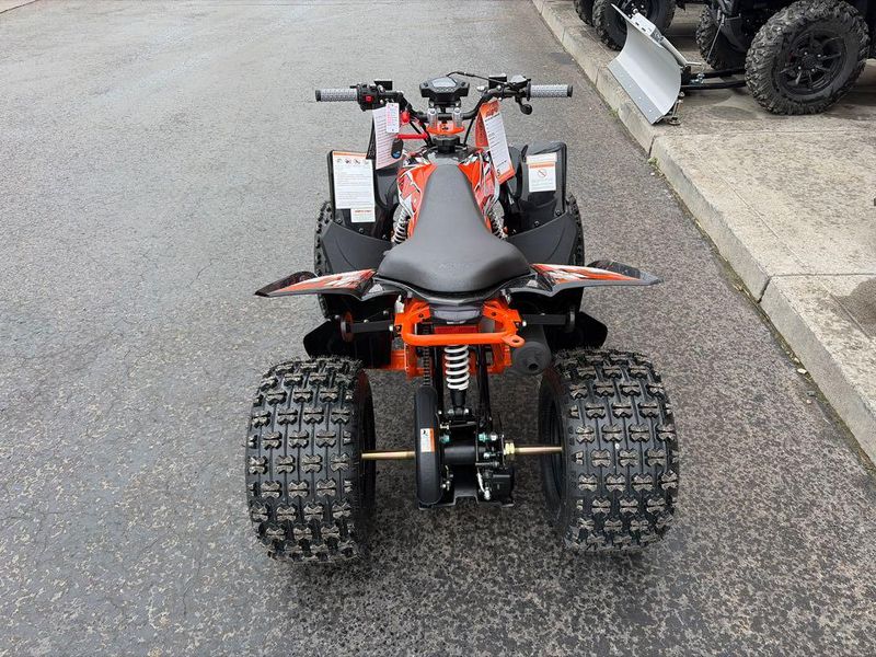 New 2026 KAYO PREDATOR 125 EFI 