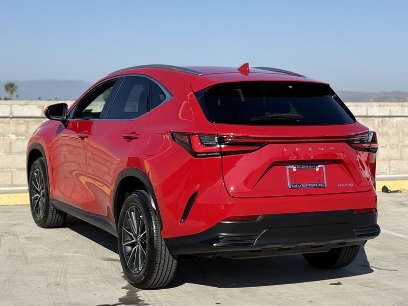 2024 Lexus NX 250Image 10