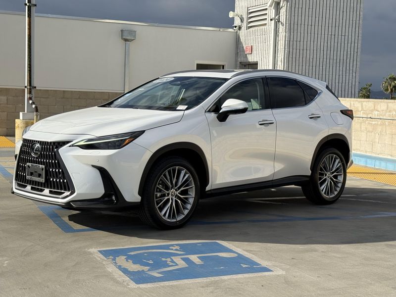 Used 2024 Lexus NX 350 LuxuryImage 7