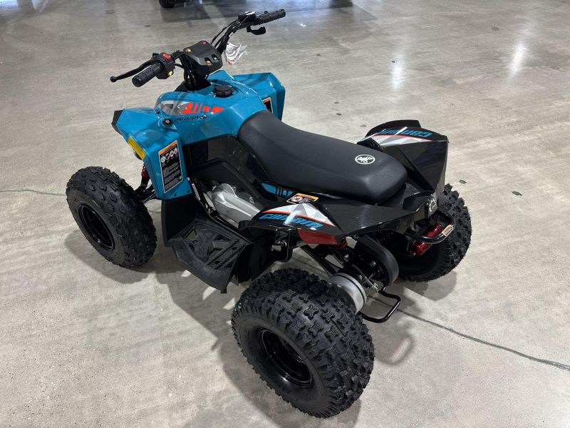 New 2026 Can-Am RENEGADE 110 EFI Image 14