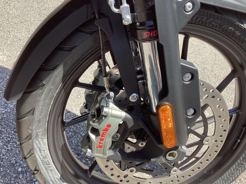 2025 Triumph Tiger 1200 GT Pro