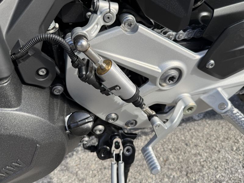 New 2026 BMW F900R LOW 