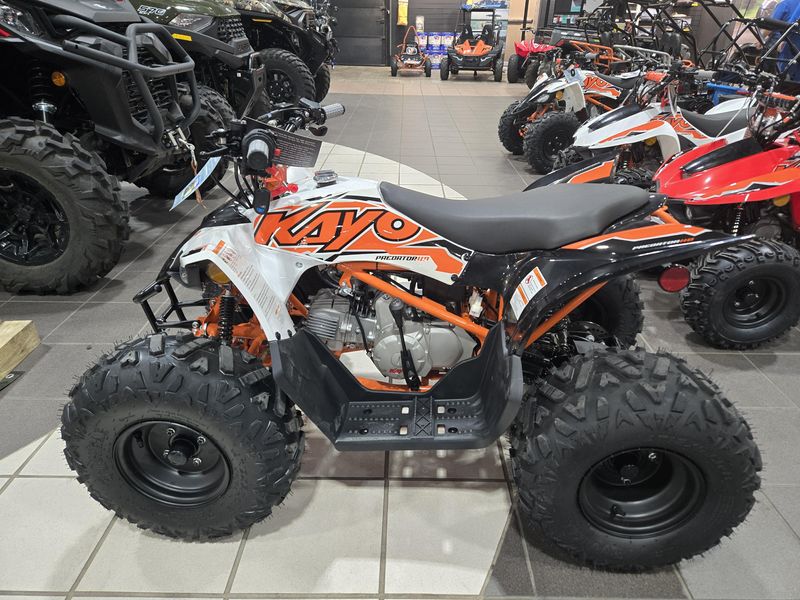 NEW 2025 KAYO PREDATOR 110 Image 4