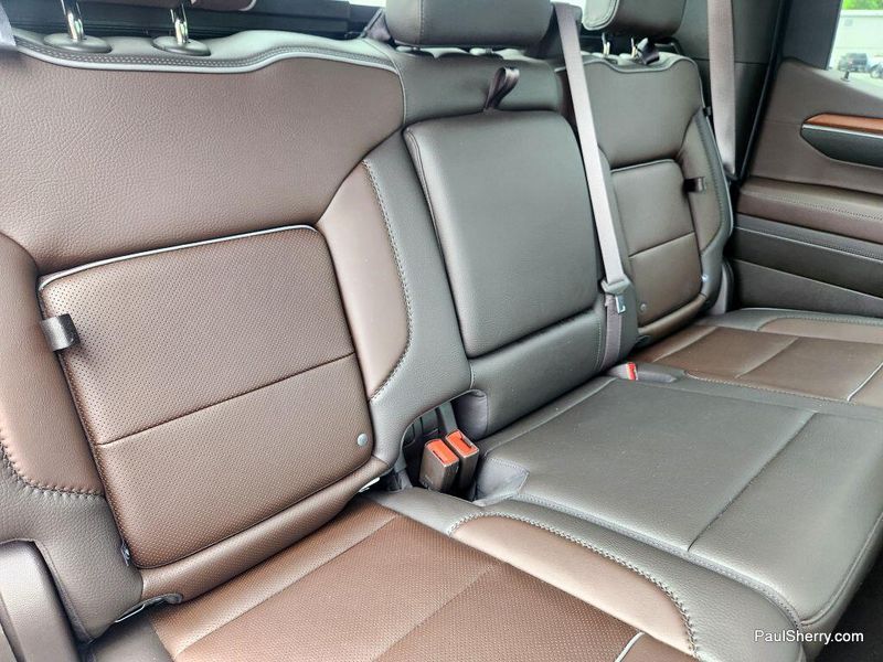 2023 GMC Sierra 1500 DenaliImage 49
