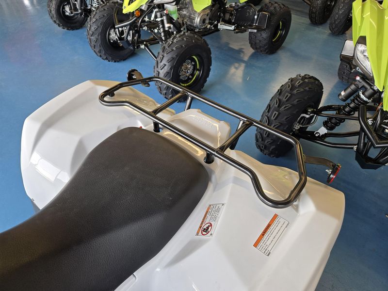 2024 Yamaha GRIZZLY 90 WHITE AND ARMOR GRAY Image 20