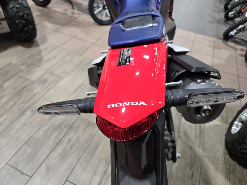 NEW 2025 HONDA CRF300L RALLY ABS Image 13