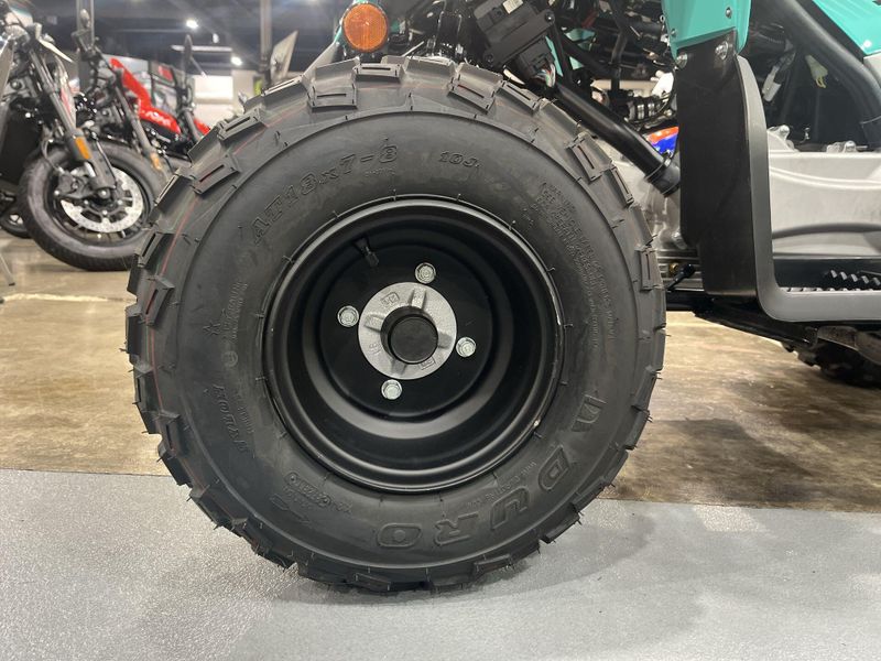 Used 2024 Yamaha Raptor 110 Image 11