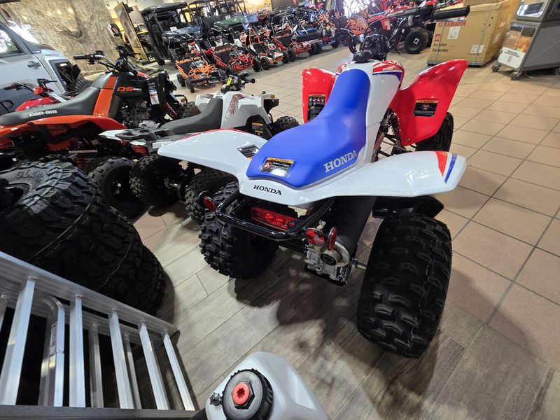 NEW 2026 HONDA TRX 250X Image 6