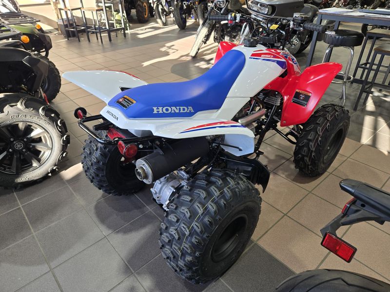 NEW 2026 HONDA TRX250X Image 9