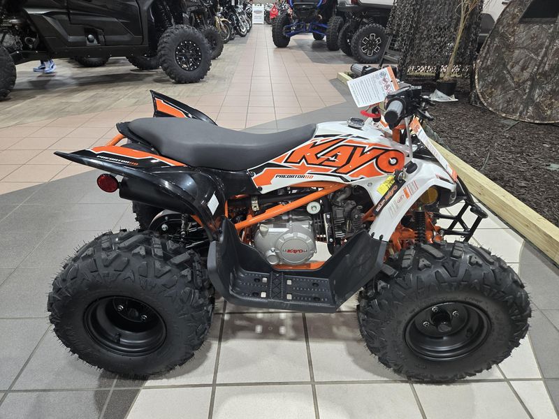 NEW 2025 KAYO PREDATOR 110 Image 2