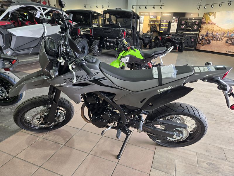 2025 Kawasaki KLX 230 SM ABS BATTLE GRAY Image 2