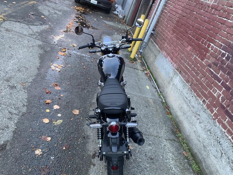 New 2026 Royal Enfield INT BEAR 650 