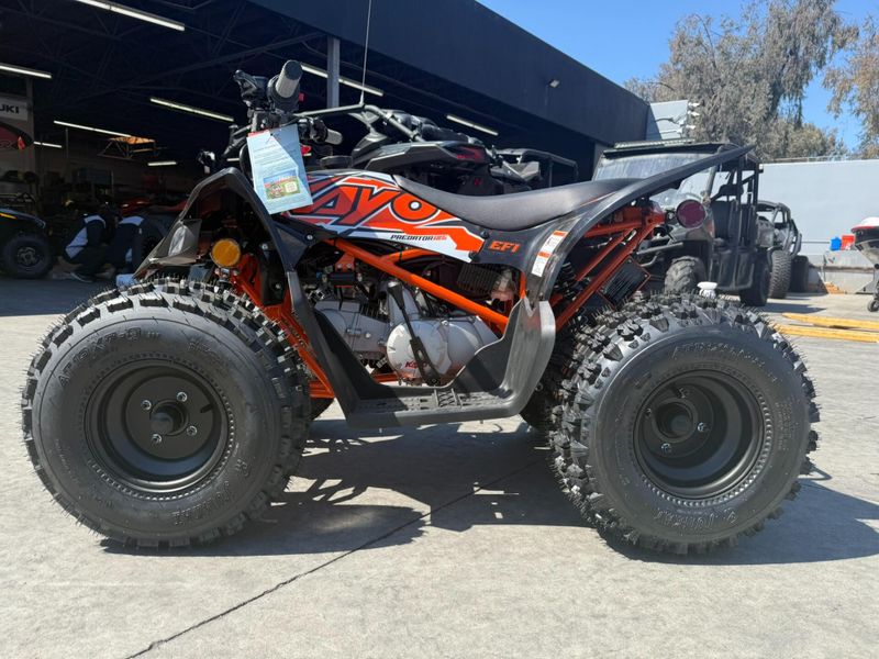 New 2025 Kayo PREDATOR 125 EFI Image 7