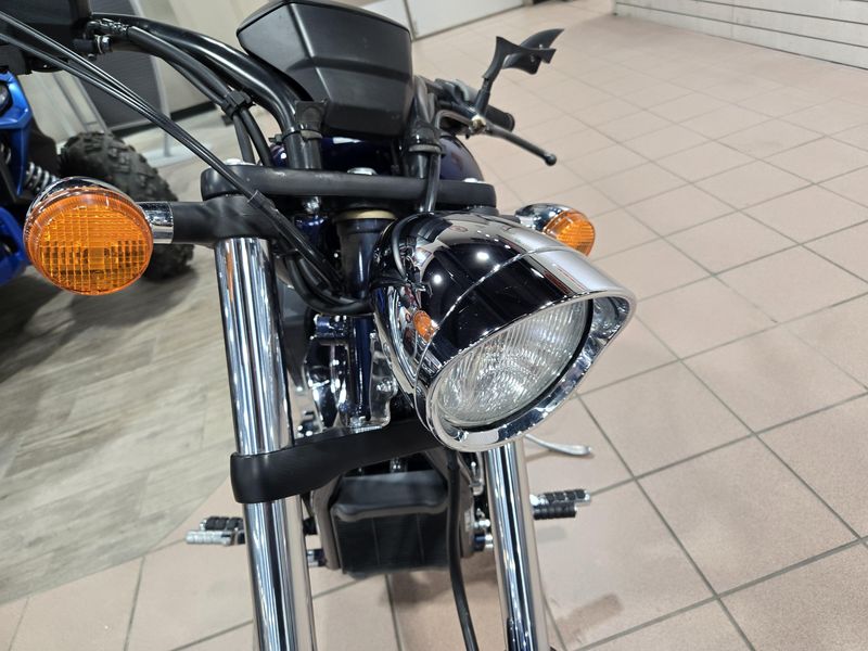 2020 Honda FURY BLUE Image 13