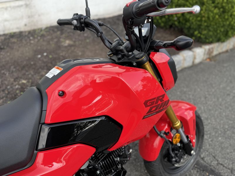 2025 Honda GromImage 7