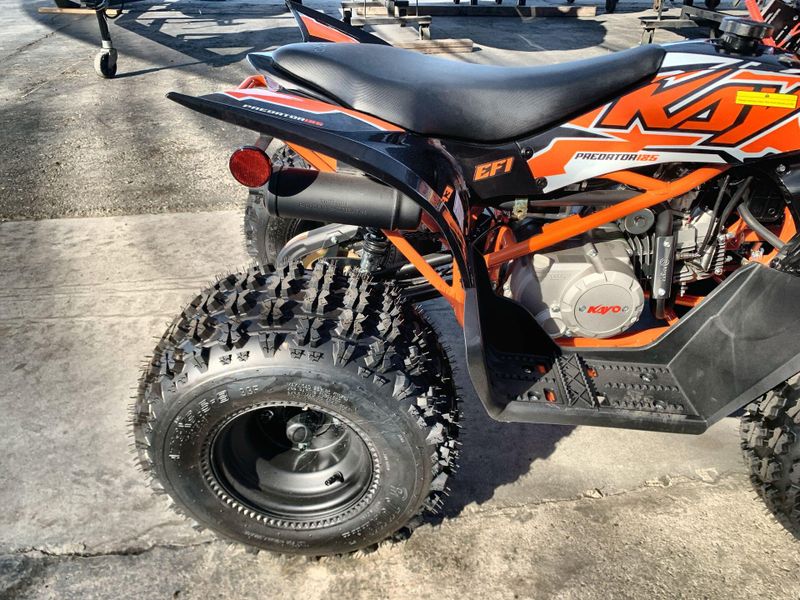 New 2025 Kayo PREDATOR 125 EFI Image 15