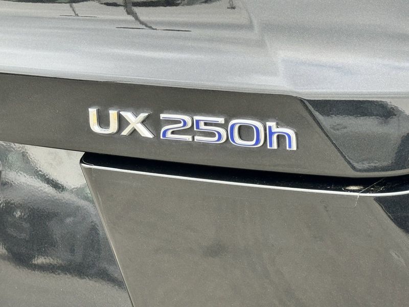 2020 Lexus UX 250hImage 7