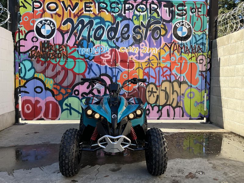 2025 Can-Am RENEGADE 110 Image 2
