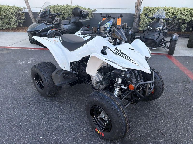 New 2026 Kymco MONGOOSE 270I Image 11