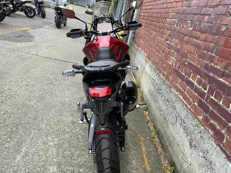 2025 Triumph Tiger 900 GT Pro