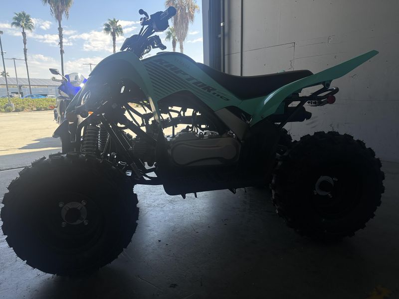 2025 Yamaha RAPTOR 110 Image 7