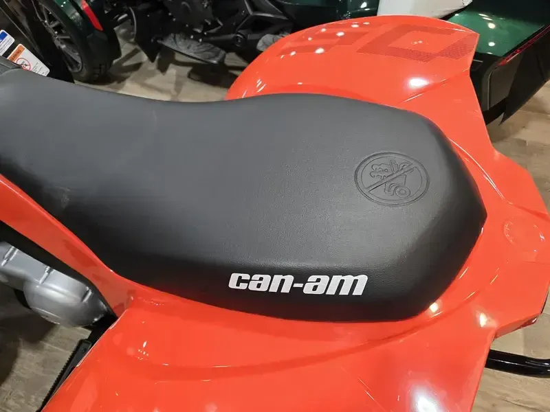 2025 Can-Am DS 250 BLACK AND CANAM RED Image 6