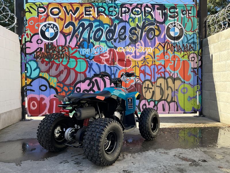 2025 Can-Am RENEGADE 110 Image 6