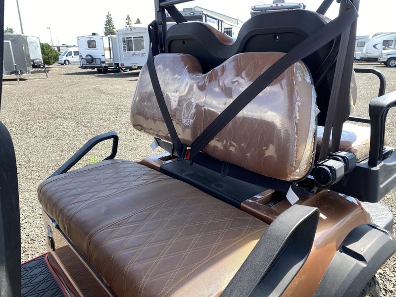 Used 2023 V-CARTS LIMO 6 Image 10