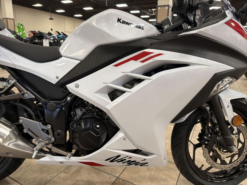 New 2026 Kawasaki NINJA 300 ABS Image 20