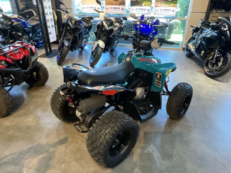 New 2026 Can-Am RENEGADE 110 Image 5