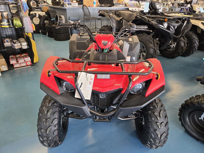 2025 Yamaha GRIZZLY 110 GREY METALLIC AND RED Image 7