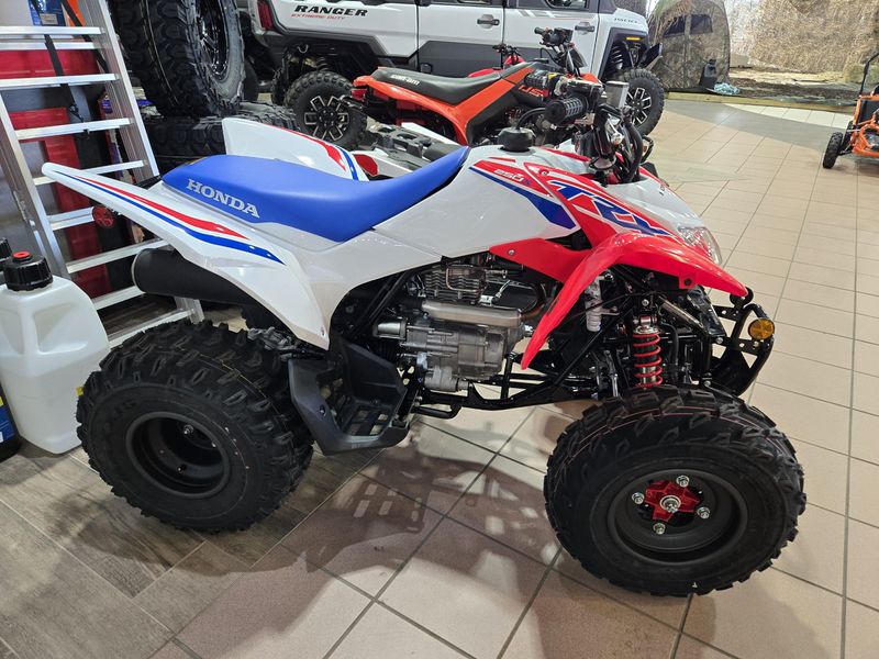 NEW 2026 HONDA TRX 250X Image 2