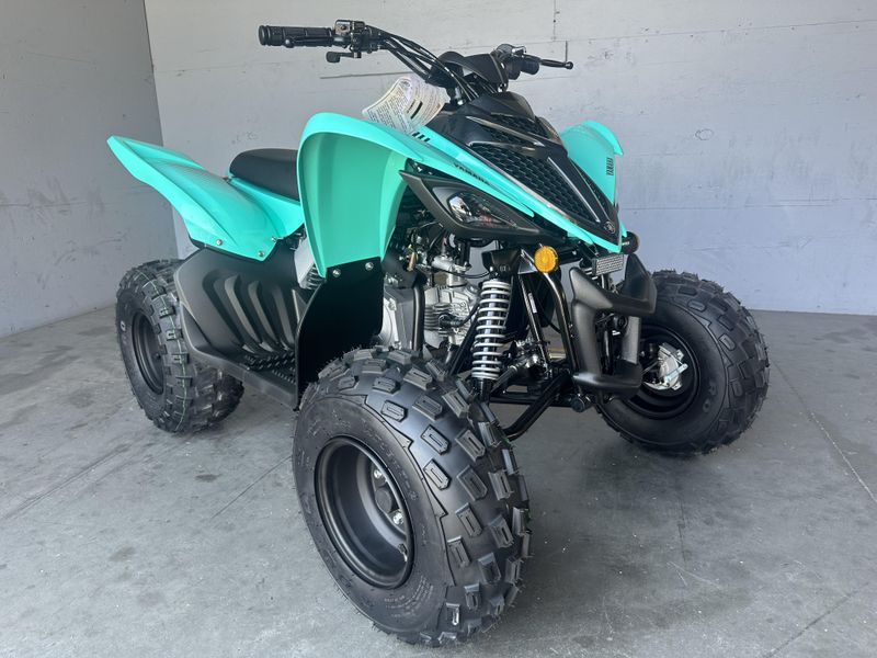 2025 Yamaha RAPTOR 110 Image 3