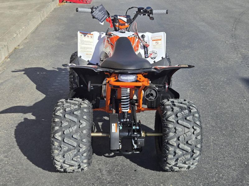 New 2026 KAYO PREDATOR 110 