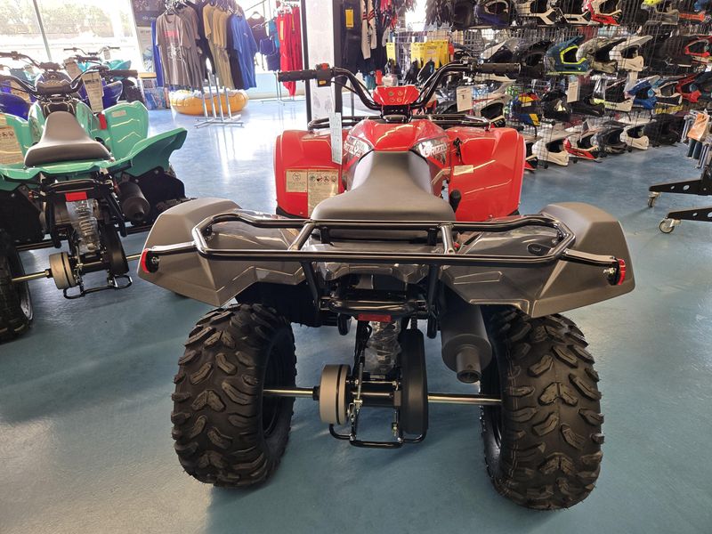 2025 Yamaha GRIZZLY 110 GREY METALLIC AND RED Image 9