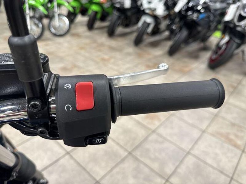New 2025 Kawasaki W230 ABS Image 22